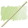 COLOR PENCIL PRISMACOLOR PALE SAGE PC1089 4149