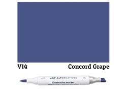 ILLUSTRATION MARKER AA CONCORD GRAPE V14 AAM-V14