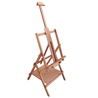 EASEL MULTIMEDIA STUDIO AA13441