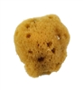 NATURAL SEA SPONGE 2 to 2.5 inches SILK ROYAL RYR2002