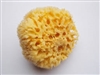 NATURAL SEA SPONGE 4 inches WOOL ROYAL R2007