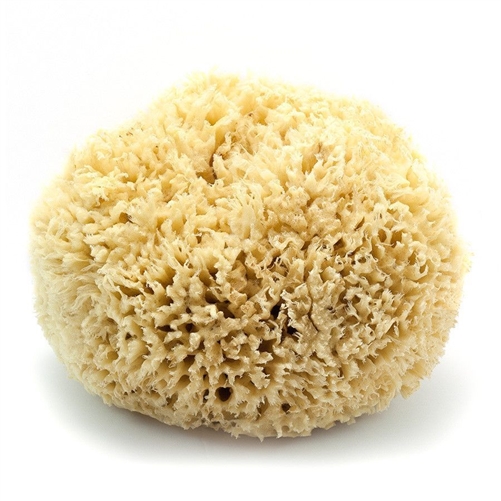 All Natural Sea Sponge (4-5inch)