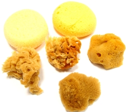 SPONGE SET 6 MIX- NATURAL & SYNTHETIC- ROYAL RYR2098