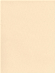 CANSON MI-TEINTES PASTEL PAPER IVORY 8.5x11 inches CN100511282