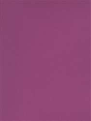 CANSON MI-TEINTES PASTEL PAPER VIOLET 8.5x11 inches CN100511321