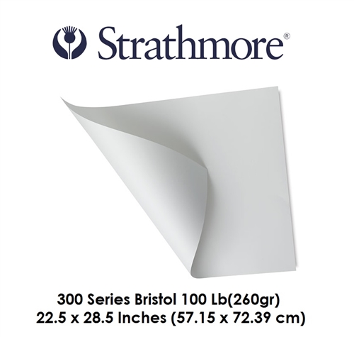 Bristol Board, 4-Ply - 50 Sheets (55 cm x 70 cm / 22