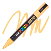 ACRYLIC MARKER POSCA PC-5M MEDIUM APRICOT PX264523000