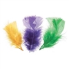 FEATHERS AP MARDI GRA ASTD 14GM DZ1019-20