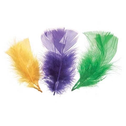 FEATHERS AP MARDI GRA ASTD 14GM DZ1019-20